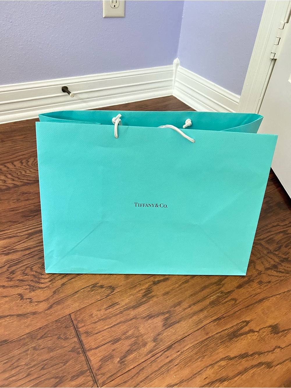Tiffany & Co. Large Robin's Egg Blue Shopping Tote